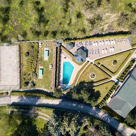 Suncani Breg Apartments Vrdnik Ngoại thất bức ảnh